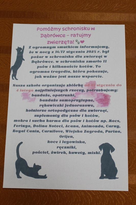 Zbiórka dla schroniska!