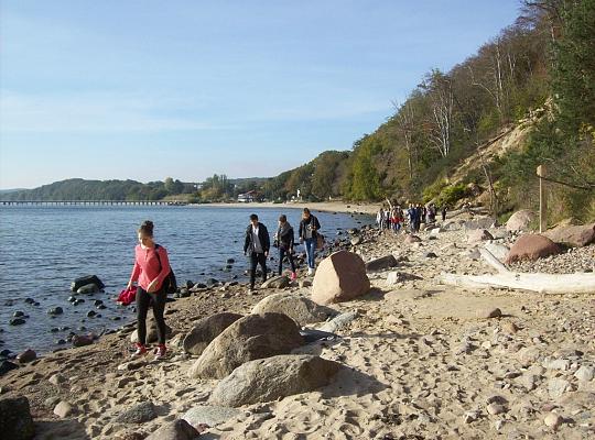 Poznajemy budowę geologiczną Klifu Orłowskiego na warsztatach terenowych
