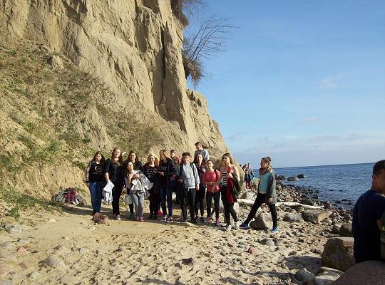 Poznajemy budowę geologiczną Klifu Orłowskiego na warsztatach terenowych