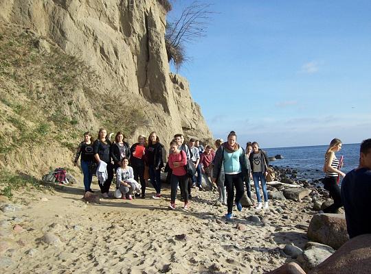 Poznajemy budowę geologiczną Klifu Orłowskiego na warsztatach terenowych