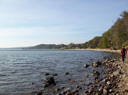 Poznajemy budowę geologiczną Klifu Orłowskiego na warsztatach terenowych