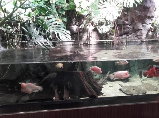 Poznajemy budowę geologiczną Klifu Orłowskiego na warsztatach terenowych