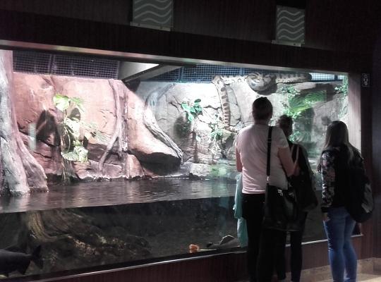 Poznajemy budowę geologiczną Klifu Orłowskiego na warsztatach terenowych