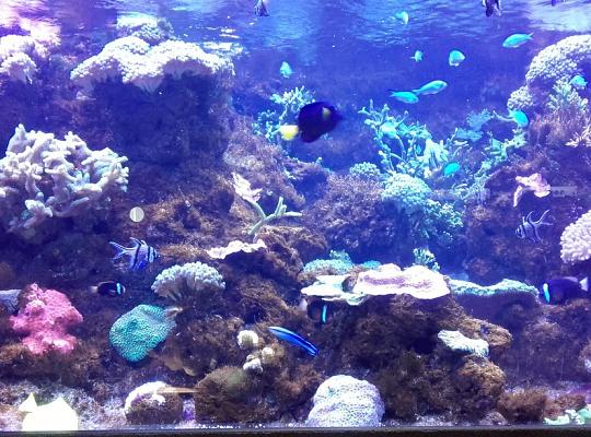 Poznajemy budowę geologiczną Klifu Orłowskiego na warsztatach terenowych