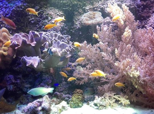 Poznajemy budowę geologiczną Klifu Orłowskiego na warsztatach terenowych