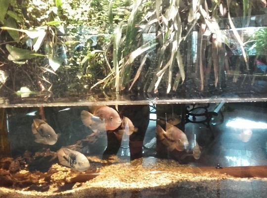 Poznajemy budowę geologiczną Klifu Orłowskiego na warsztatach terenowych