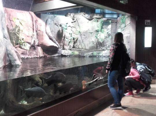 Poznajemy budowę geologiczną Klifu Orłowskiego na warsztatach terenowych