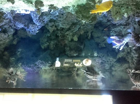 Poznajemy budowę geologiczną Klifu Orłowskiego na warsztatach terenowych