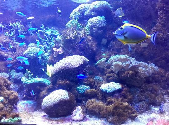 Poznajemy budowę geologiczną Klifu Orłowskiego na warsztatach terenowych