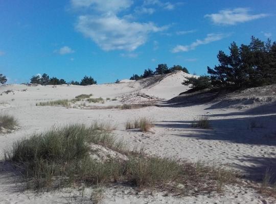 Zobacz , jak przeżyliśmy typowo włoski Rajd Pieszych