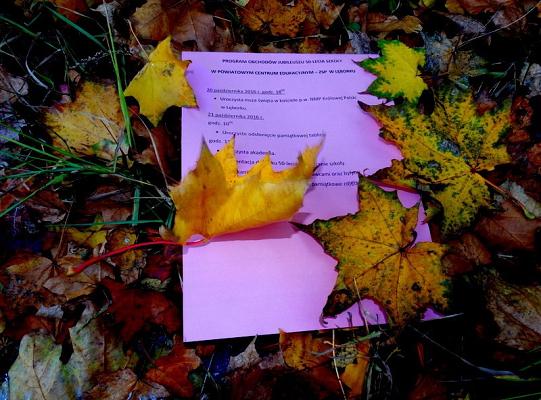 SPRAWDŹ PROGRAM OBCHODÓW JUBILEUSZU 50-LECIA SZKOŁY