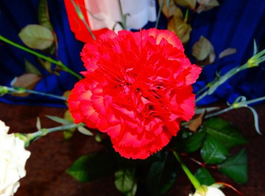 Apel z okazji 11 listopada