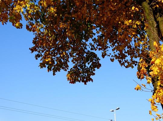 „Nostalgia jesieni…”