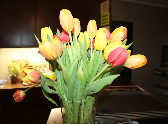 Podsumowanie  konkursu na Lęborską Maskę Jasełkową 2019! Wystawa w Restauracji!