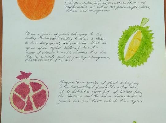 Konkurs leksykalno - plastyczny IN THE GARDEN rozstrzygnięty