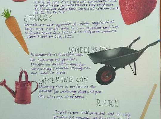 Konkurs leksykalno - plastyczny IN THE GARDEN rozstrzygnięty