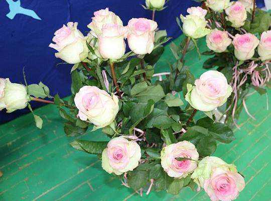 Pożegnanie absolwentów Technikum i LO dla dorosłych w PCE