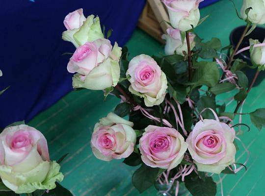 Pożegnanie absolwentów Technikum i LO dla dorosłych w PCE