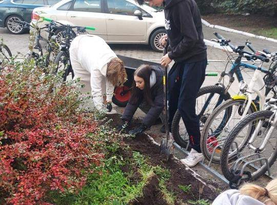 Coroczne #Pola Nadziei w naszej szkole
