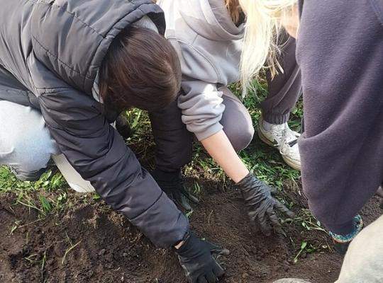 Coroczne #Pola Nadziei w naszej szkole