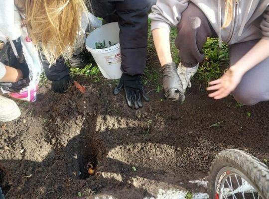 Coroczne #Pola Nadziei w naszej szkole