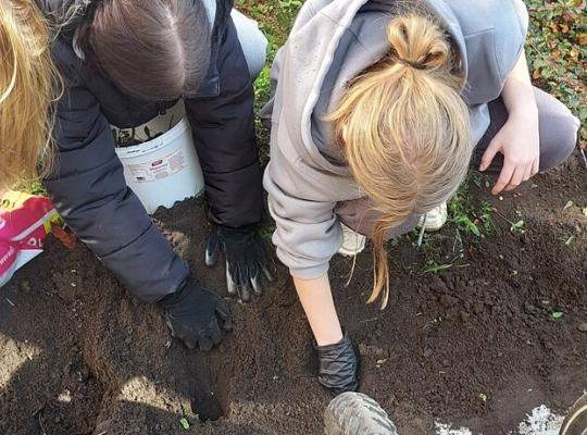 Coroczne #Pola Nadziei w naszej szkole