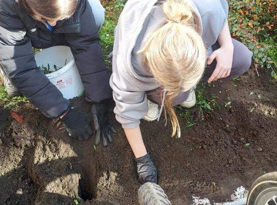 Coroczne #Pola Nadziei w naszej szkole