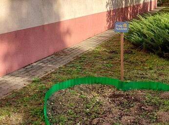 Coroczne #Pola Nadziei w naszej szkole