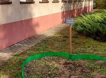 Coroczne #Pola Nadziei w naszej szkole