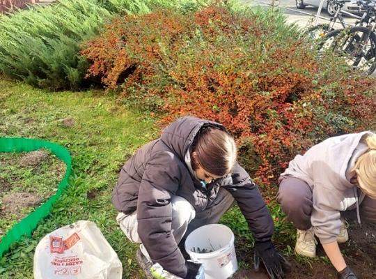 Coroczne #Pola Nadziei w naszej szkole
