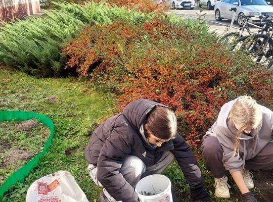 Coroczne #Pola Nadziei w naszej szkole