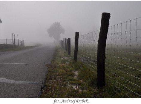 „Portret Zwiewnej Pani ” – czyli warsztaty fotograficzne w PCE