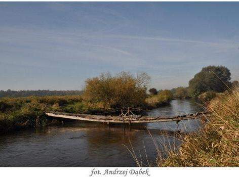 „Portret Zwiewnej Pani ” – czyli warsztaty fotograficzne w PCE
