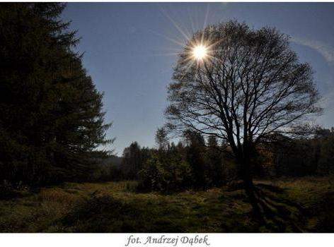 „Portret Zwiewnej Pani ” – czyli warsztaty fotograficzne w PCE