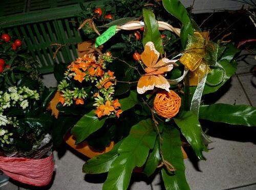 Pięknych kobiet portrety przez całe  wieki