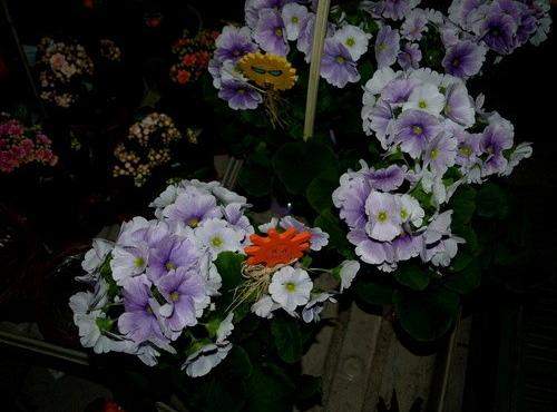 Pięknych kobiet portrety przez całe  wieki