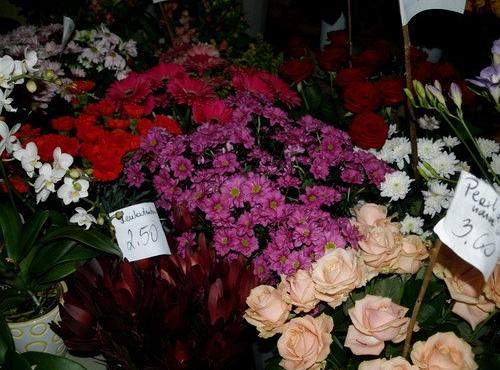 Pięknych kobiet portrety przez całe  wieki