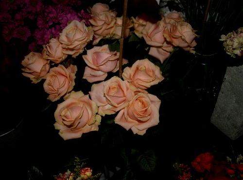 Pięknych kobiet portrety przez całe  wieki