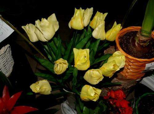 Pięknych kobiet portrety przez całe  wieki